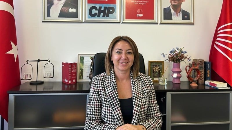 CHP'li Gül Çiftçi'den 'Lütfü Savaş' açıklaması: Hatay için bir kez daha çalışmamız gerektiğini anladık