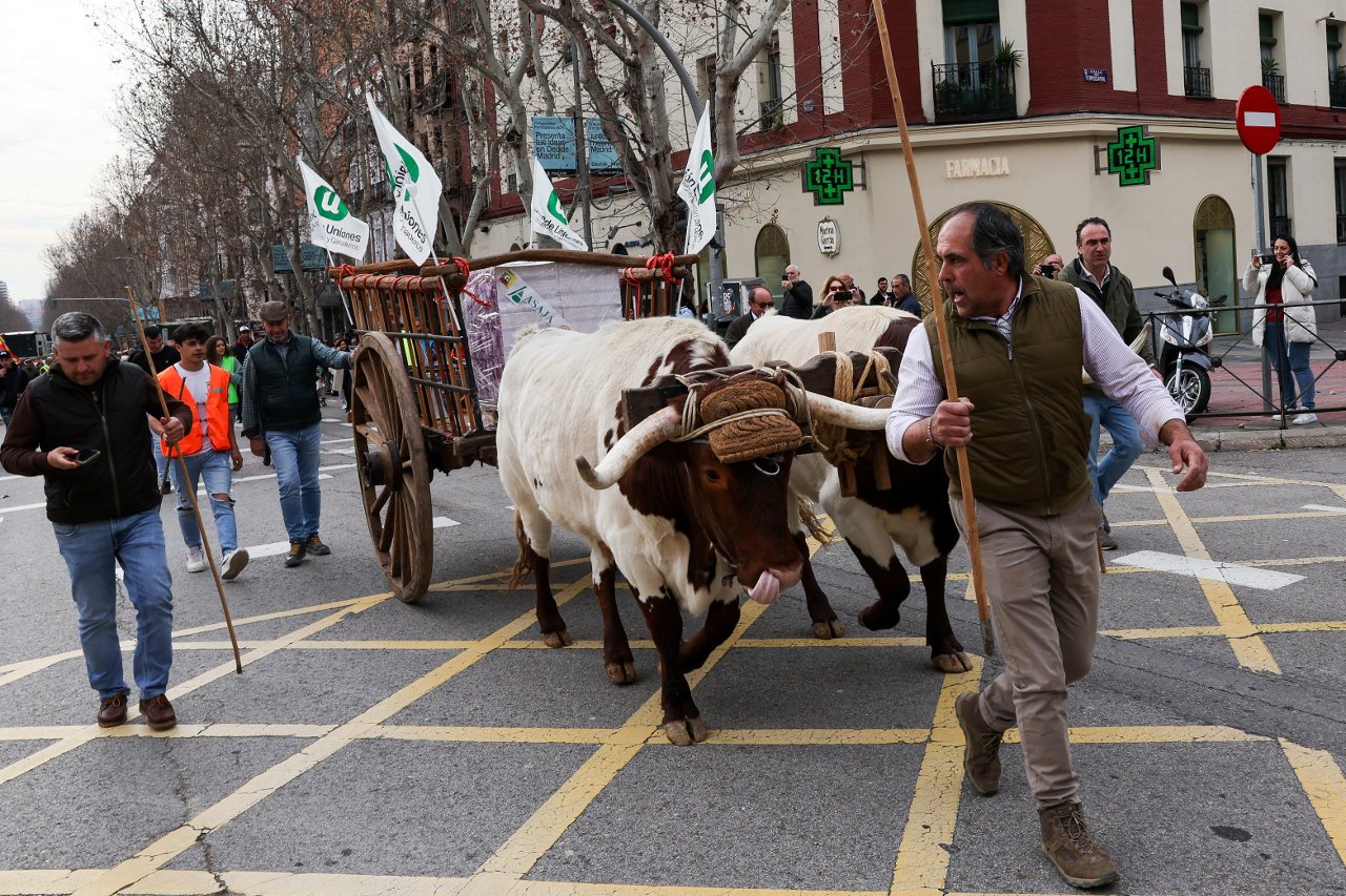 Çiftçiler, traktörleriyle Madrid'e çıkarma yaptı