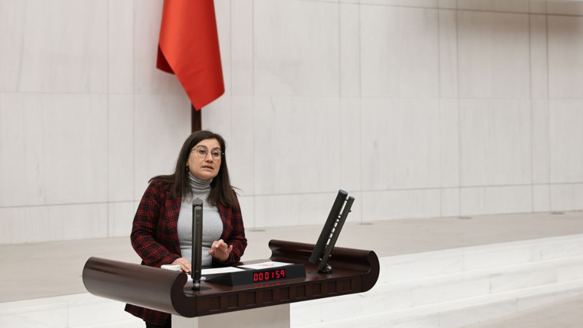 DEM Partili Burcugül Çubuk Türkçe konuşurken mikrofonu kapatıldı: 'Türkiye'de Türk'e de rahat yok'