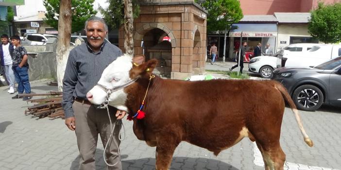 Iğdırlı besiciler, hayat pahalılığına tepki gösterdi: Yem alamadığımız için inekleri kesime gönderiyoruz