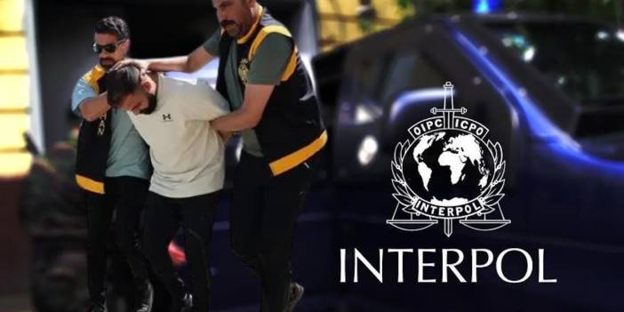 INTERPOL Bültenleri Nedir, Ne İşe Yarar?