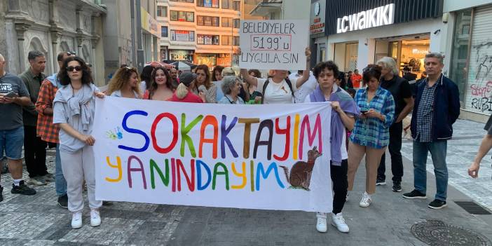 Sokak hayvanları için sokaklara iniyorlar: Yarın İstanbul ve İzmir'de miting var!