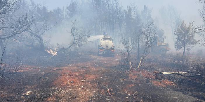 Antalya'da orman yangını çıktı: Yangın kontrol altına alındı