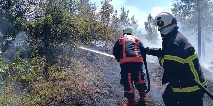 Havalar ısındı, orman yangınları başladı: 4 ilde alevler yükseldi