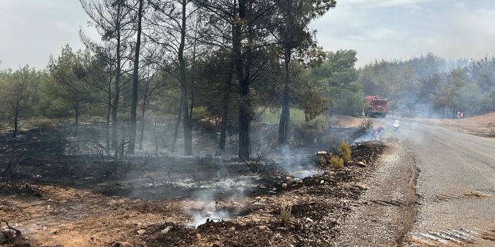 6 noktada orman yangını: Yangın uçağı göle sert iniş yaptı