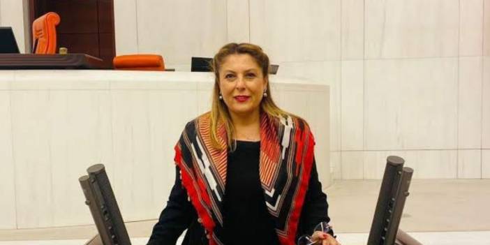 Elvan Işık Gezmiş’ten iktidara ‘fındık’ çağrısı: "Taban fiyat kesinlikle 150 liradan aşağı olmamalıdır"