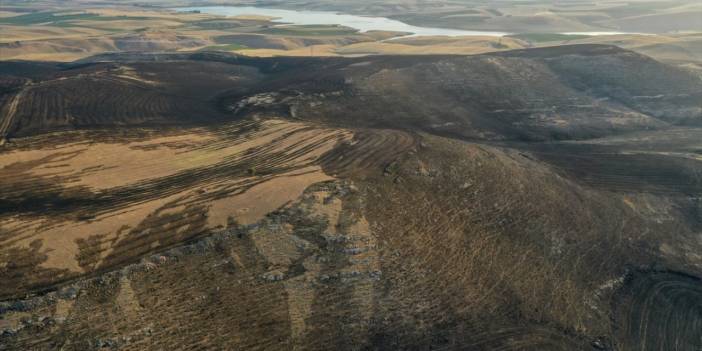 Diyarbakır ve Mardin'de yangınların nedeni ihmal mi?