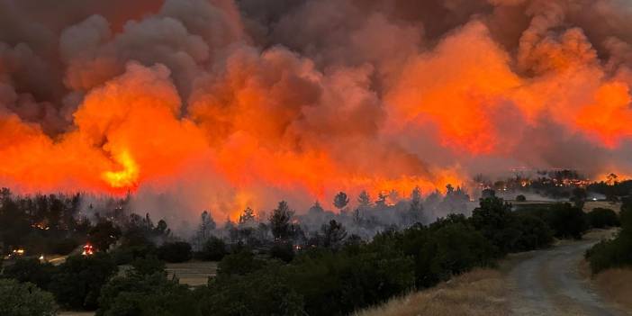 Türkiye'de geçen yıla göre orman yangını sayısı 5 kat arttı