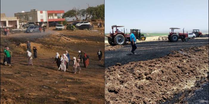 Diyarbakır'da yangınlarda 10 bin dönüm tarım arazisi yok oldu: Bakanlık, hasar tespiti için afet bölgesi ilan etmeli