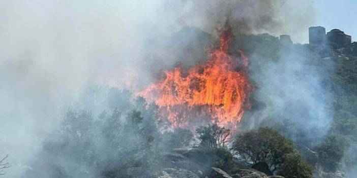 Çanakkale’de makilik alanda yangın! Alevler Assos'a tehdit ediyor