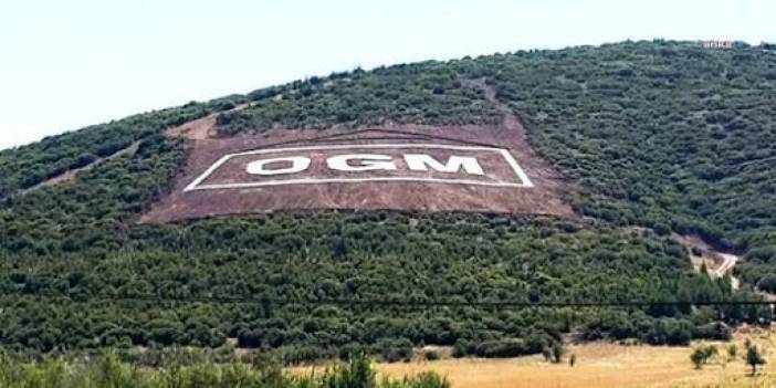 Edirne Keşan’da orman yangını çıktı