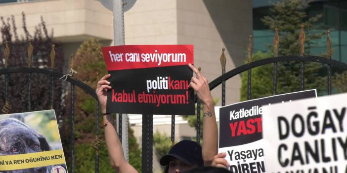 AYM önünde sokak hayvanları yasasının iptali için nöbet eylemi: Ankara Barosu'ndan destek