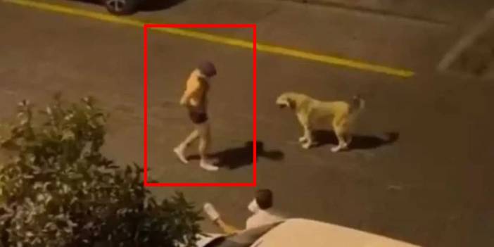 Antalya'da sokakta köpeği taciz eden yabancı uyruklu kişi tutuklandı