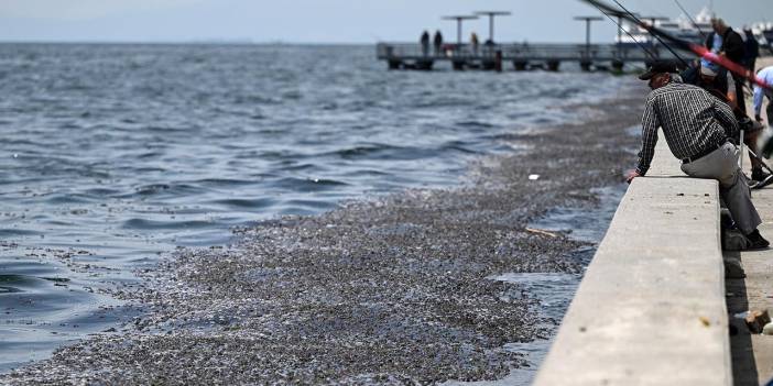 İzmir Körfezi'nde yaşanan kirlilik: Cemil Tugay bakanlığı eleştirdi!