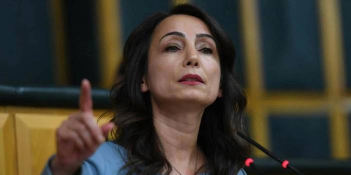 DEM Parti'den 'Barzani' açıklaması: Görüş ve öneriler Öcalan ile paylaşılacak