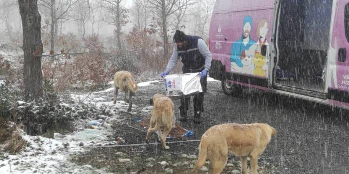 İstanbul’da kar kalınlığı 40 santimetreye ulaştı: İBB ekiplerinin çalışmaları sürüyor