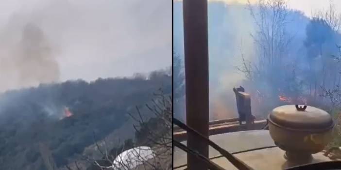 Yalova'daki yangın kontrol altına alındı