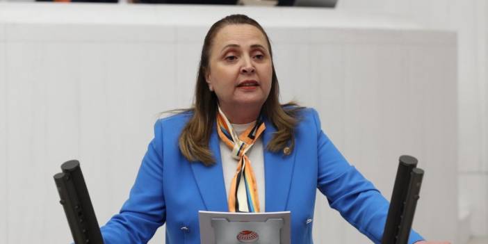 CHP'li Dinçer’den doğum pankartına tepki: Karar kadına ve hekime aittir