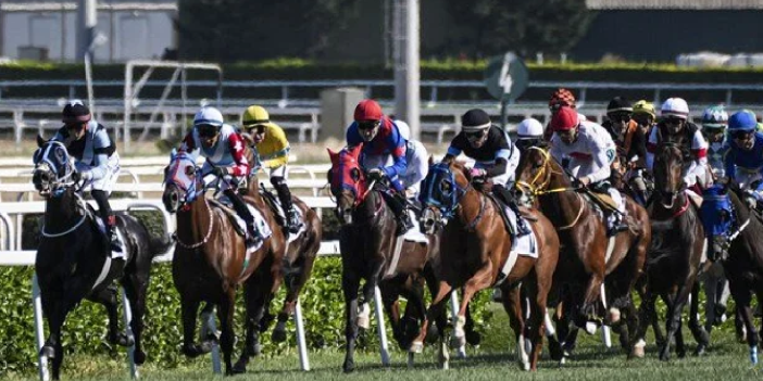 DNA analizinde ortaya çıktı: Şampiyon atı kuşbaşı yapıp belediyeye satmışlar