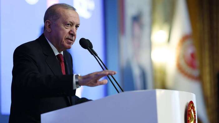 Cumhurbaşkanı Erdoğan'dan gemi kazasıyla ilgili açıklama: Tüm imkanları seferber ettik