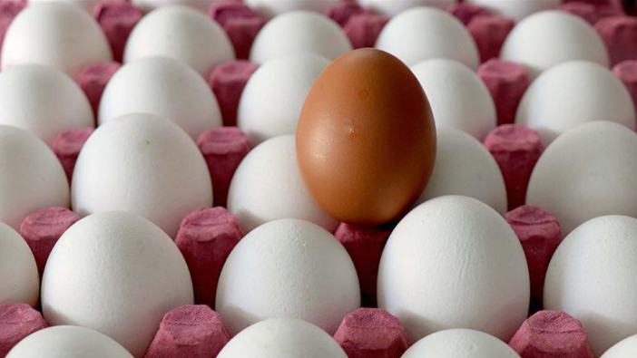 Vaka sayısı 318'e çıktı: Vatandaşlara 'yumurta tüketmeyin' uyarısı