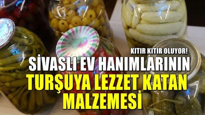 Turşuyu kıtır kıtır yapan yöntem! Sivaslı ev hanımlarından geleneksel yöntem