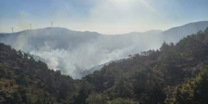 Antakya'da orman yangını