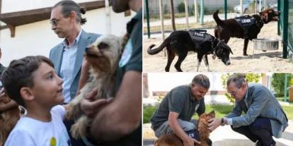 Erdal Beşikçioğlu sözünü tuttu: Etimesgut'ta 5 köpek göreve başladı!