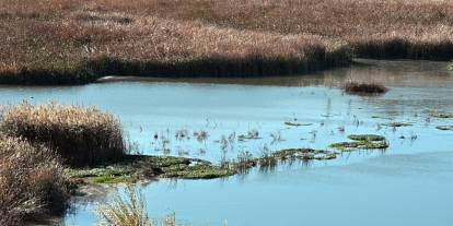 Çekerek Irmağı'ndaki kirlilik bilirkişi raporunda