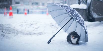 Soğuk hava etkisini sürdürüyor...Meteoroloji'den kuvvetli yağış, kar ve rüzgar uyarısı