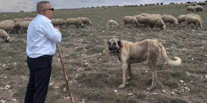 MHP’li ismin pozu tartışma yarattı: ‘Korucular çoban olsun’ tartışmasını alevlendiren fotoğraf