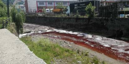 Yıllardır çözülemeyen sorun: Rize'de kurban kanları dereyi ve denizi kırmızıya boyadı