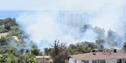 Antalya'dan iyi haber geldi