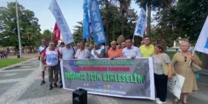 Samsun'da orman yangınları protestosu: Yeniden ağaçlandırma anayasal zorunluluk