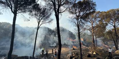Bergama’da orman yangını evlere sıçradı