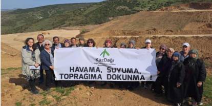 Sarıalan mı? Sarı altın mı?