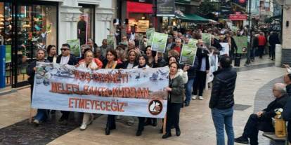 Ordu'da yaşam savunucuları, betonlaşmaya karşı ayağa kalktı: 'Kuş Cenneti'ne sahip çıkıyoruz'