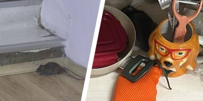 Üniversitelilere reva görülen yurt: “Tencere ve tavalarımızı koyduğumuz dolaplardan ölü fareler çıkıyor”