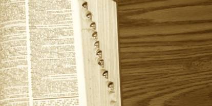 Türk Dil Kurumu 2025 yılının kelimesini açıkladı