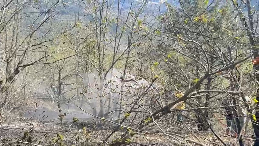 Artvin'de 2 hektar alan yandı