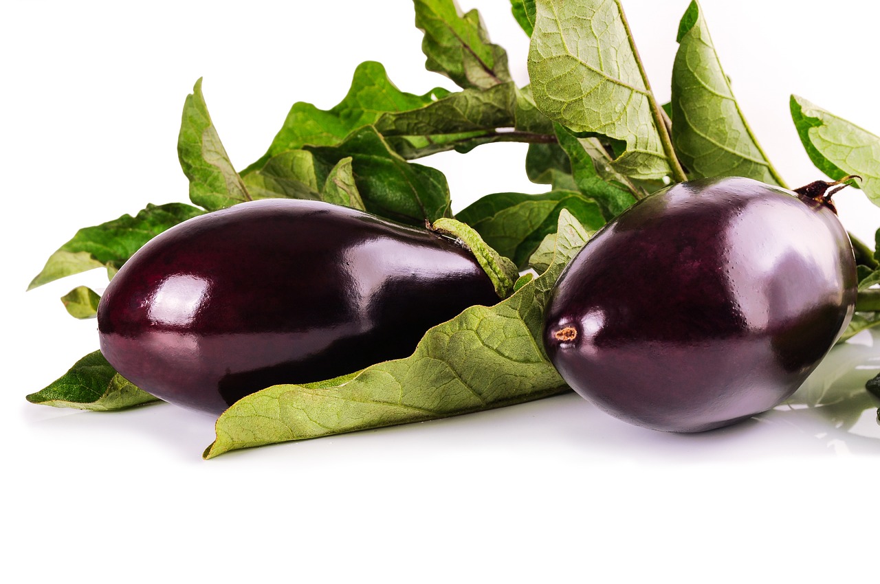 eggplant-1659784-1280.jpg