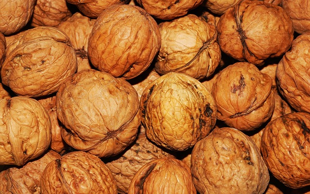 walnuts-101425-640.jpg