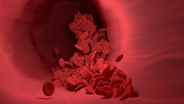 red-blood-cells-4256710-640.jpg