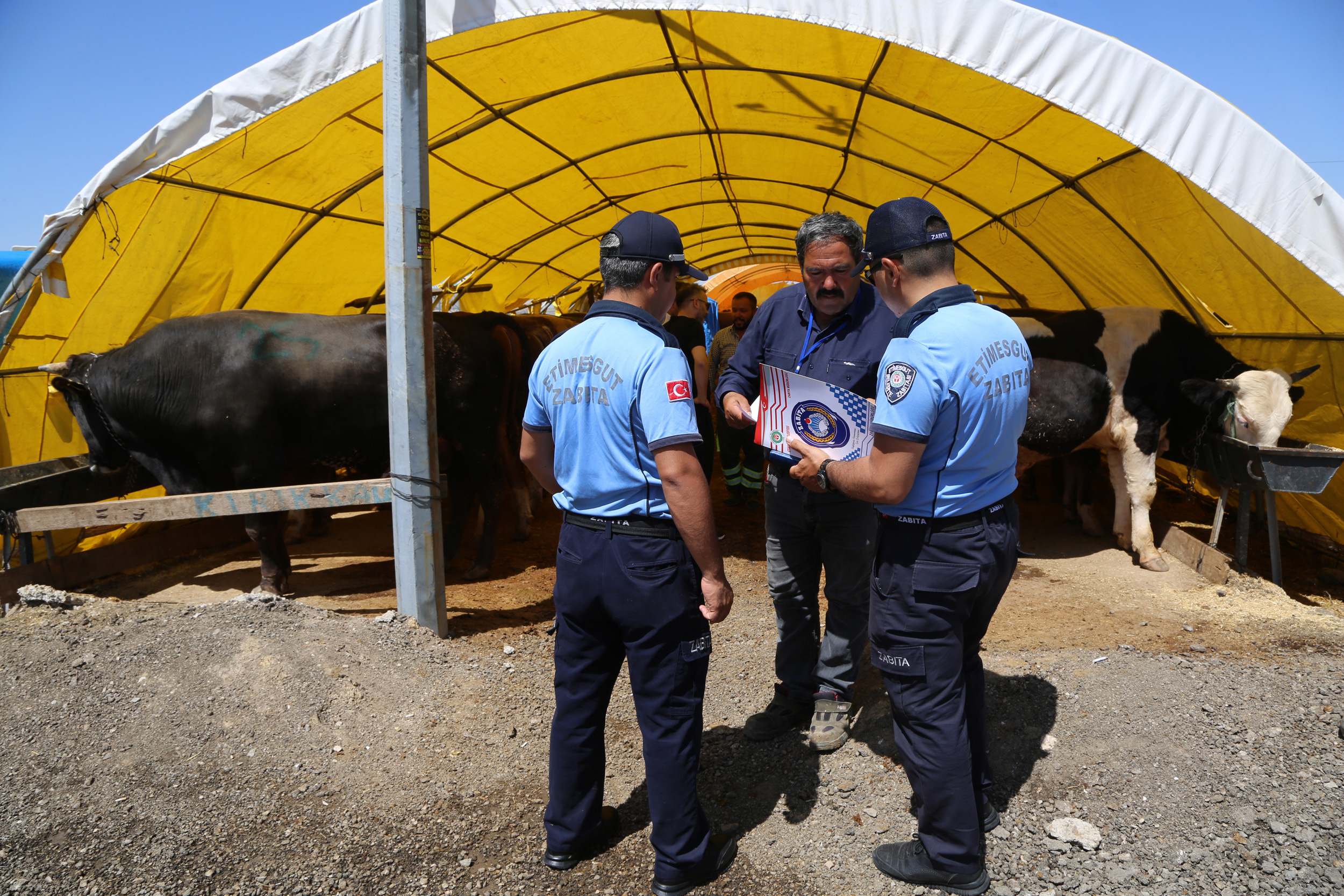 zabita-denetim-3.jpg