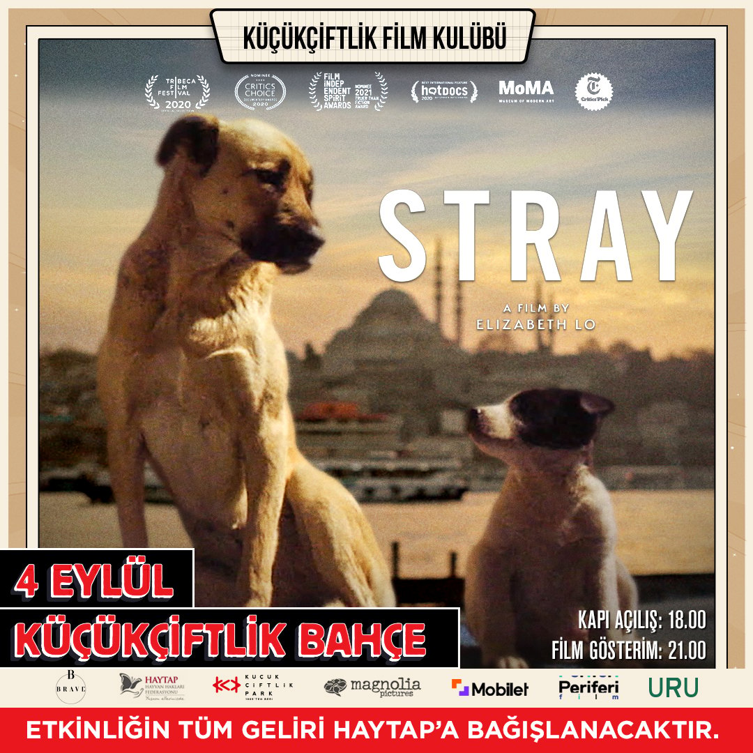 stray-ozel-gosterimi-4-eylul-2024-kucukciftlik-film-kulubu-sunar-1.jpg