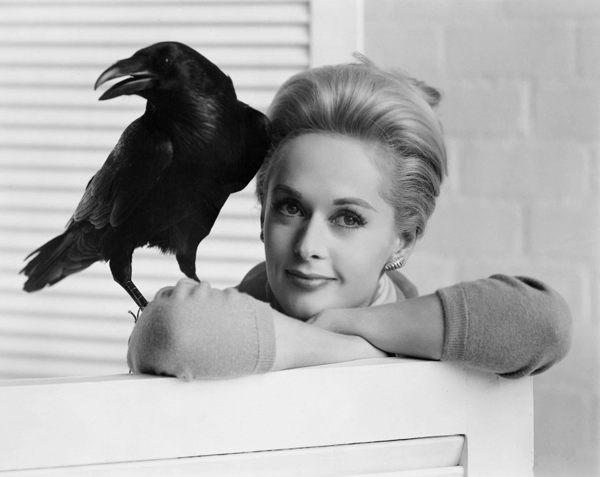 tippi-bird-bw-2.jpg