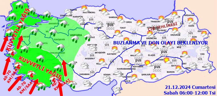 1-drib.webp