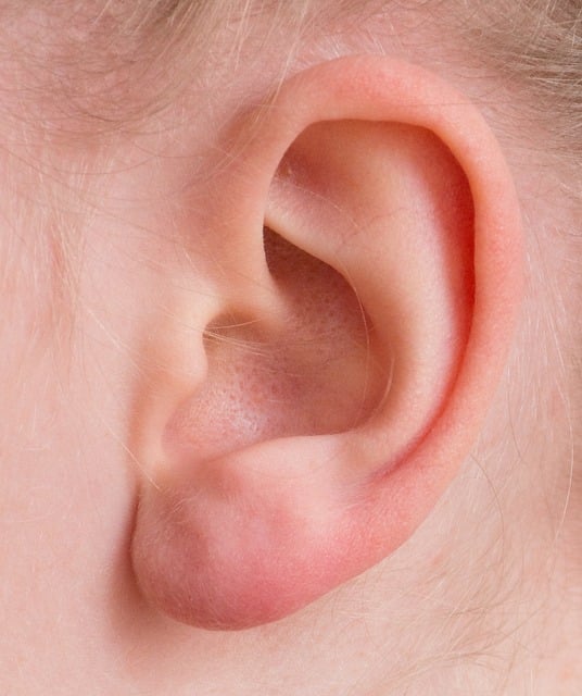 ear-2372090-640.jpg