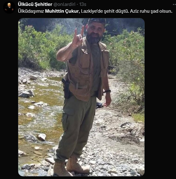 m2.png