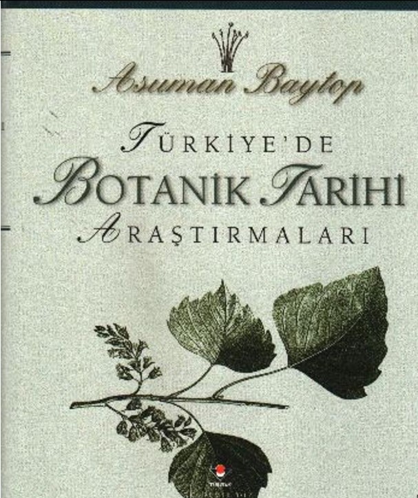 asuman-kitap-kapak.jpg